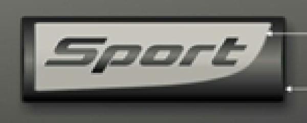 Sport amblem